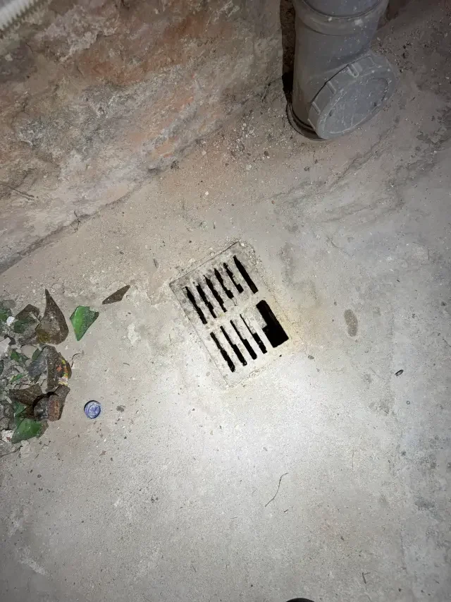 rattenschutz-massnahmen-abfluss-keller